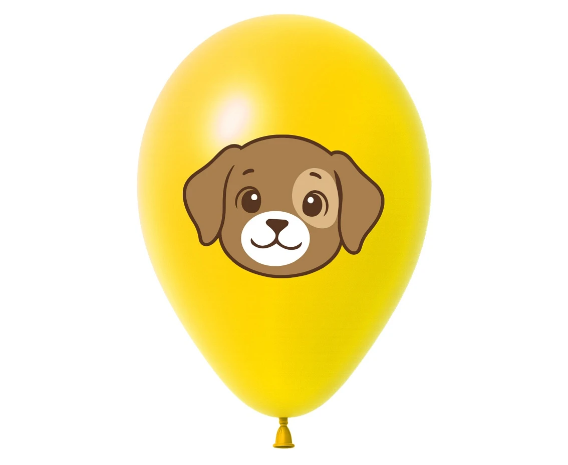 Balony Piesek, 12", 5 szt.